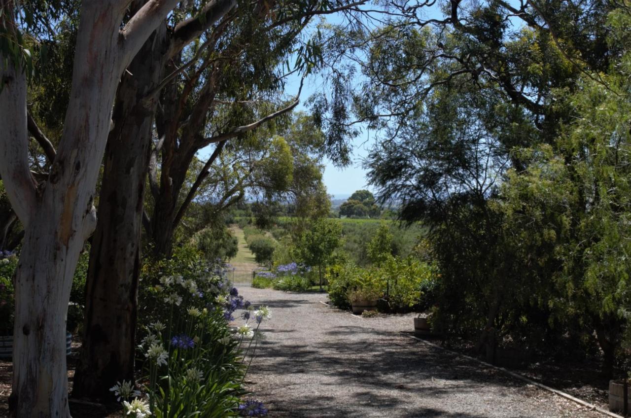 The Farm Willunga B&B 외부 사진