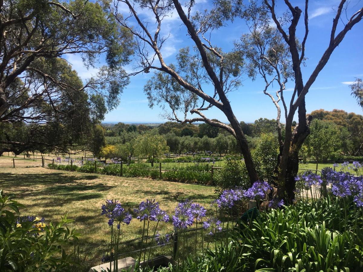 The Farm Willunga B&B 외부 사진