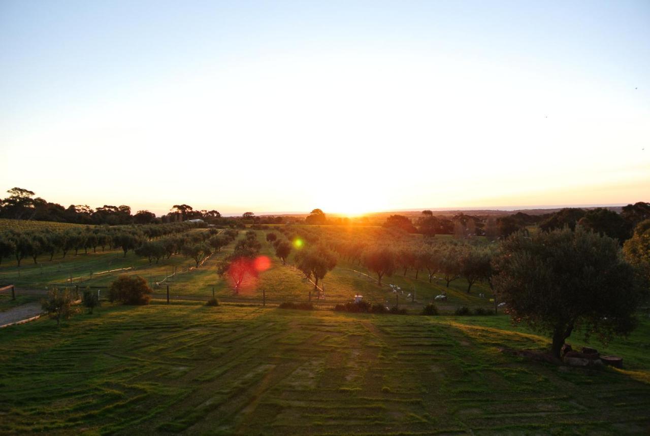 The Farm Willunga B&B 객실 사진