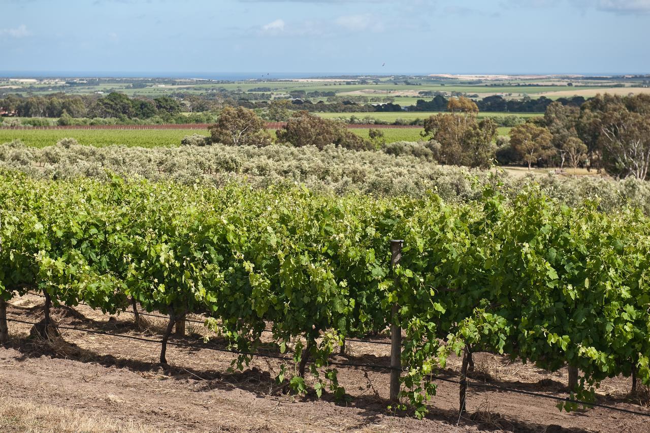 The Farm Willunga B&B 외부 사진