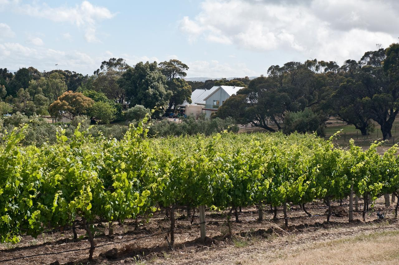 The Farm Willunga B&B 외부 사진