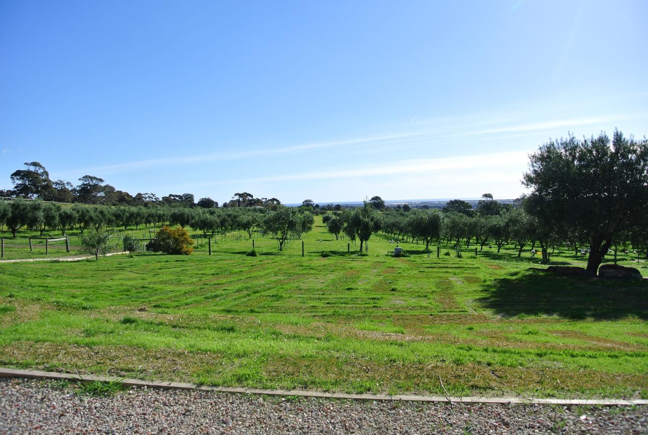 The Farm Willunga B&B 외부 사진